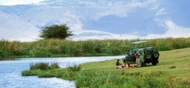 Tourists Picnic by Water Hole in Ngorongoro Crater